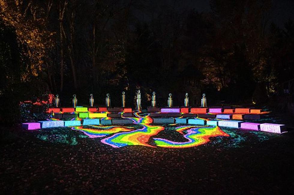 Mind-blowing NJ light show has taken over Grounds For Sculpture