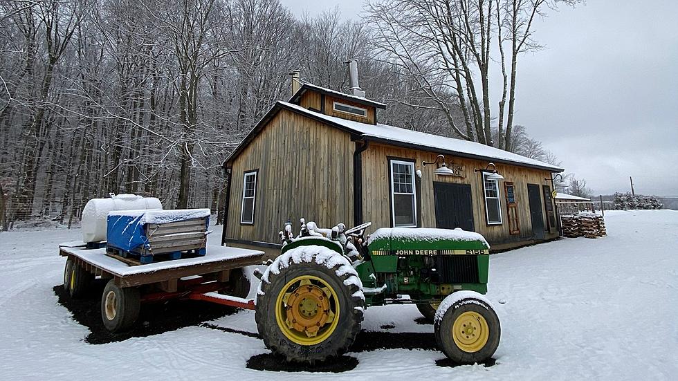 See how maple syrup is made in Manalapan