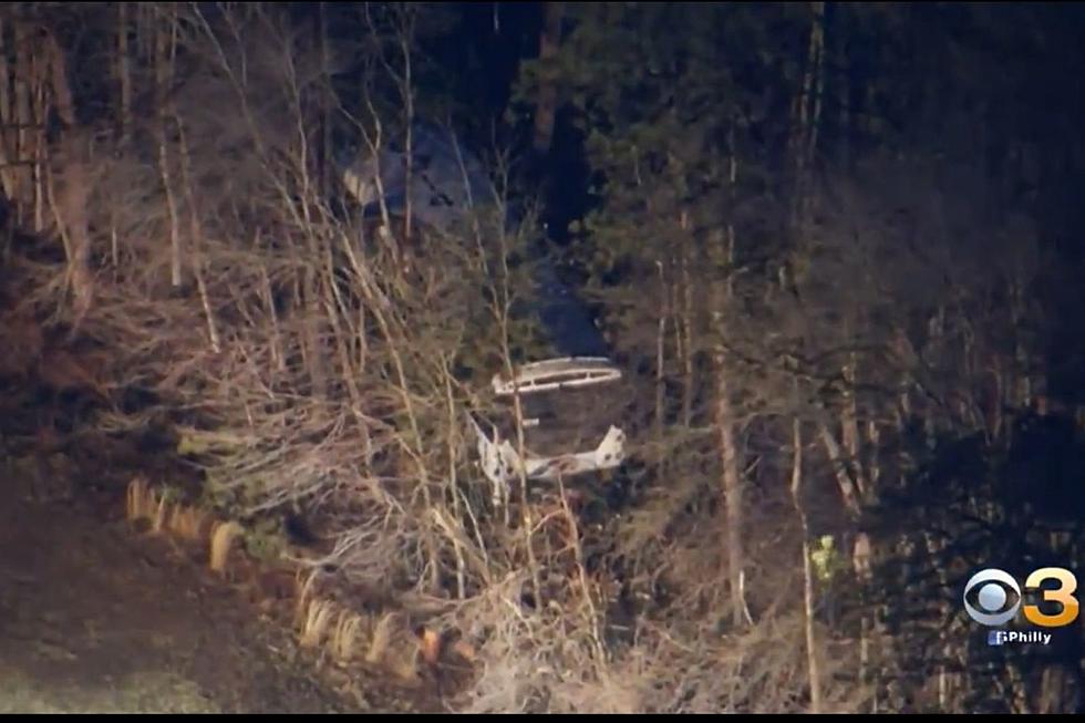 NJ Transit bus goes off Atlantic City Expressway and into woods