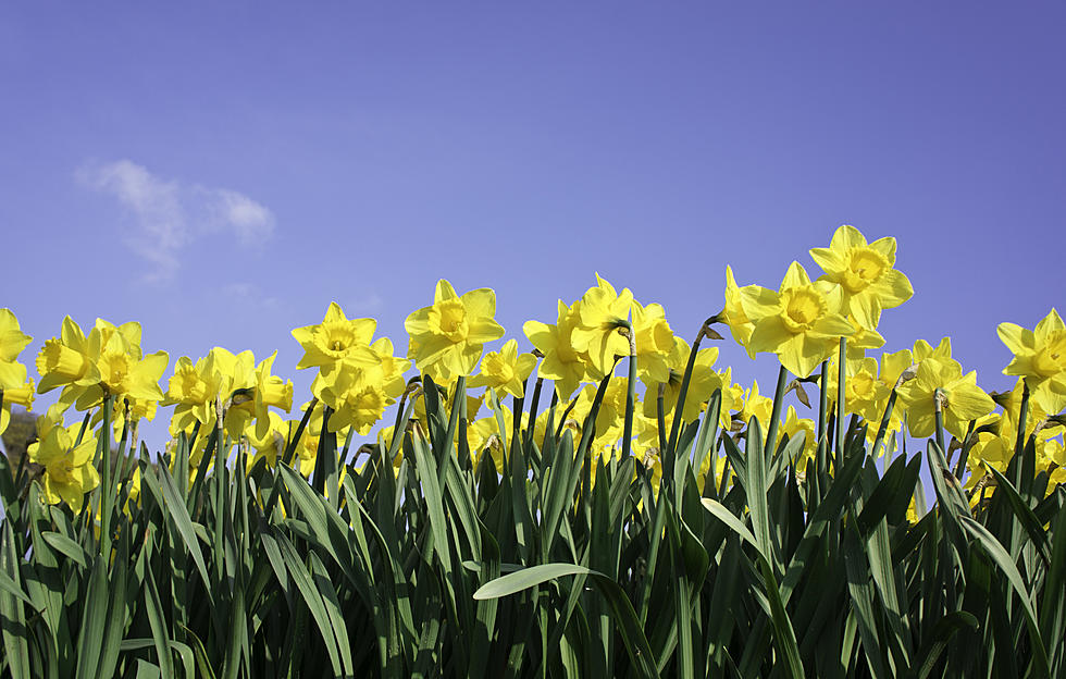 NJ weather: Warming up for the first day (and week) of Spring