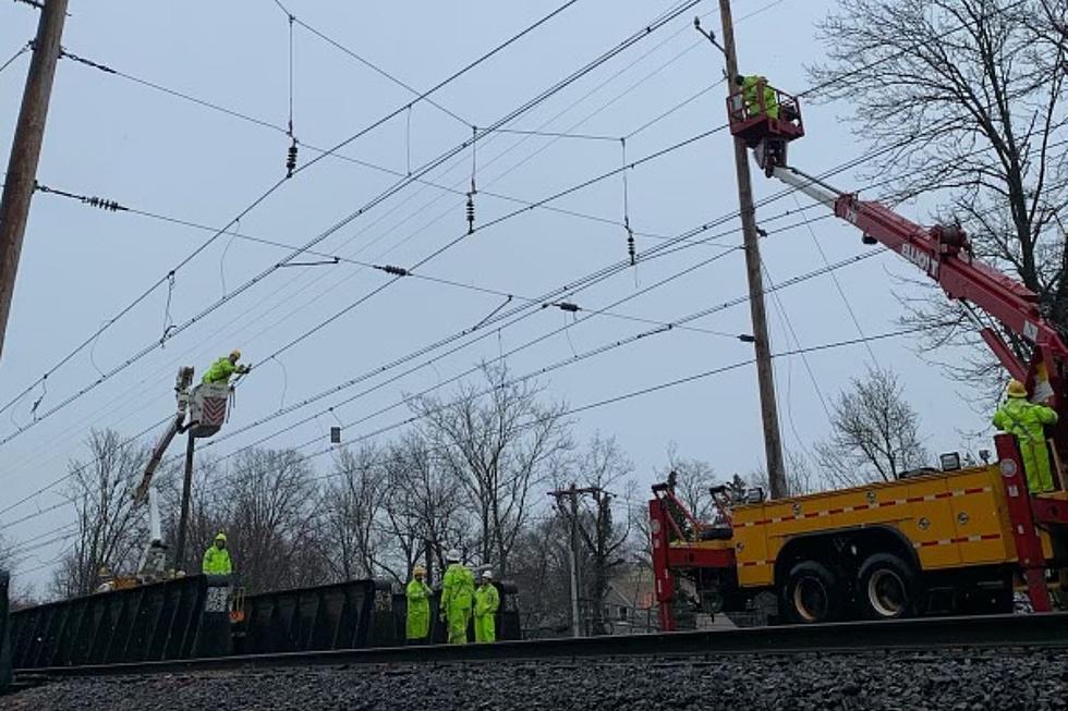 Fresh downed tree adds to NJ Transit Morris &#038; Essex rail repairs