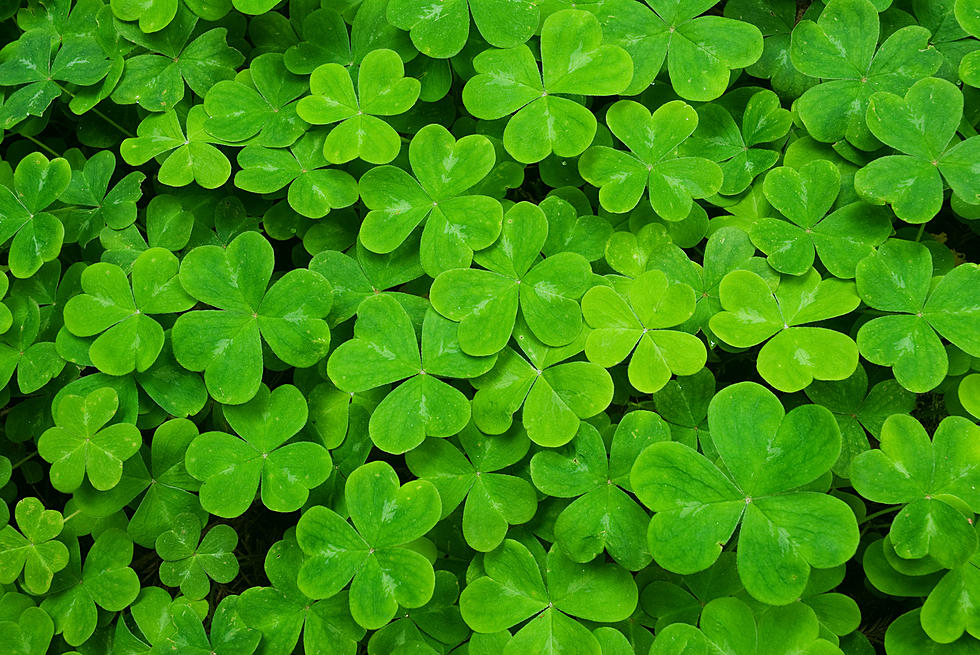 Celebrate St. Patrick’s Day at Allaire Village in Wall, NJ