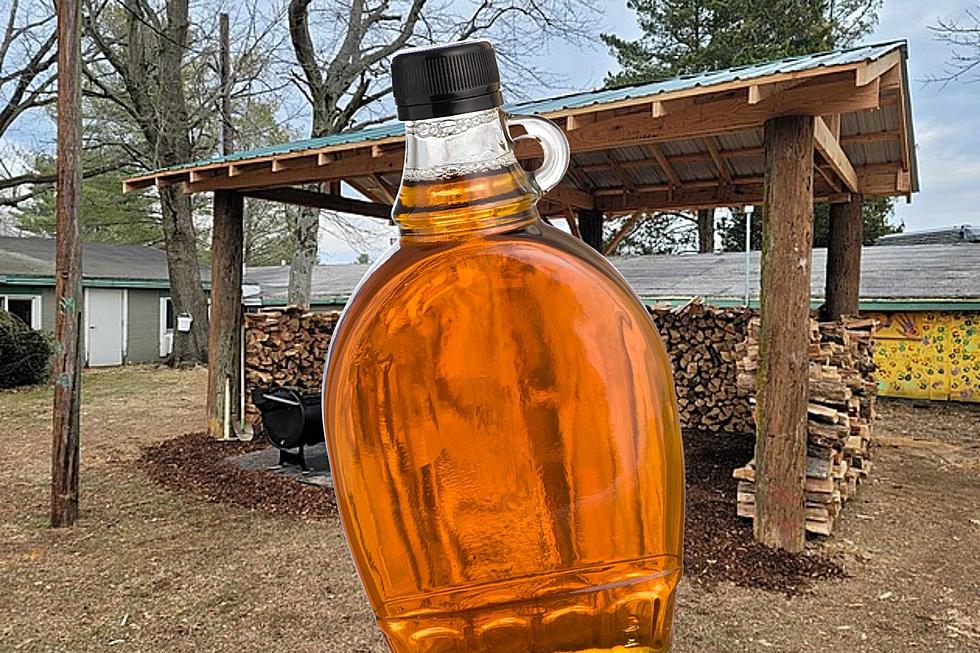 Maple syrup production ramps up in the Pine Barrens of NJ