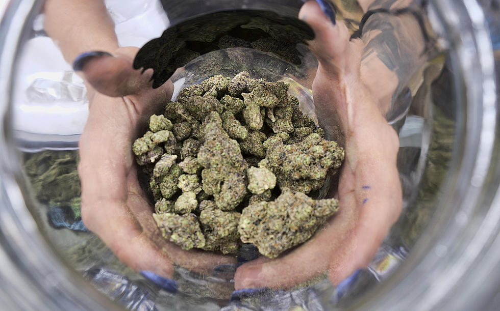 New Jersey wants to help you start a marijuana business