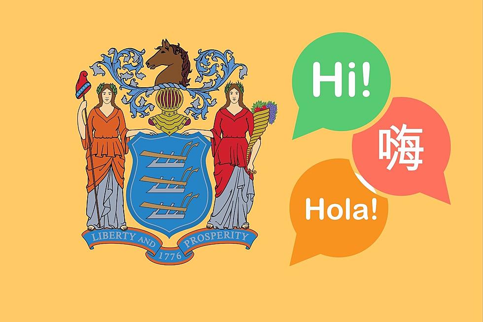 Should NJ spend millions to translate government info into 15 languages?