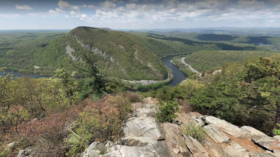 Mount Tammany on Google Maps