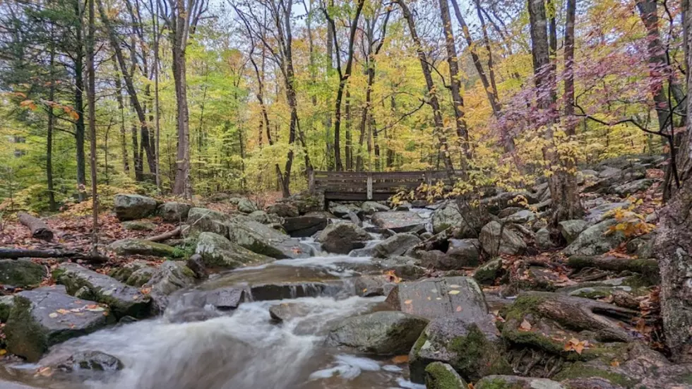 Hacklebarney State Park on Google Maps