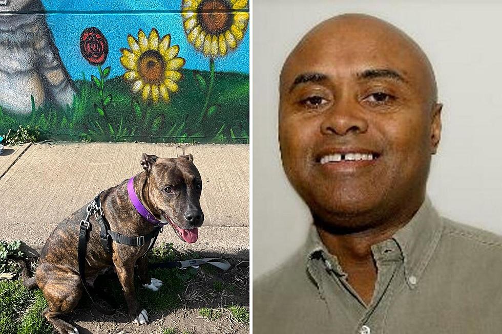 People worried more about stray animals than minorities, NJ writer argues