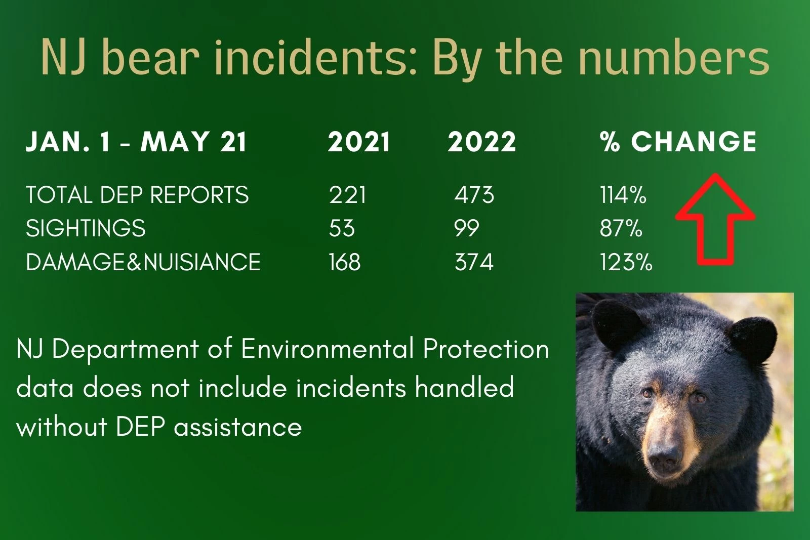 Weigh in on NJ Bear Management as NJ DEP considers plan and regs