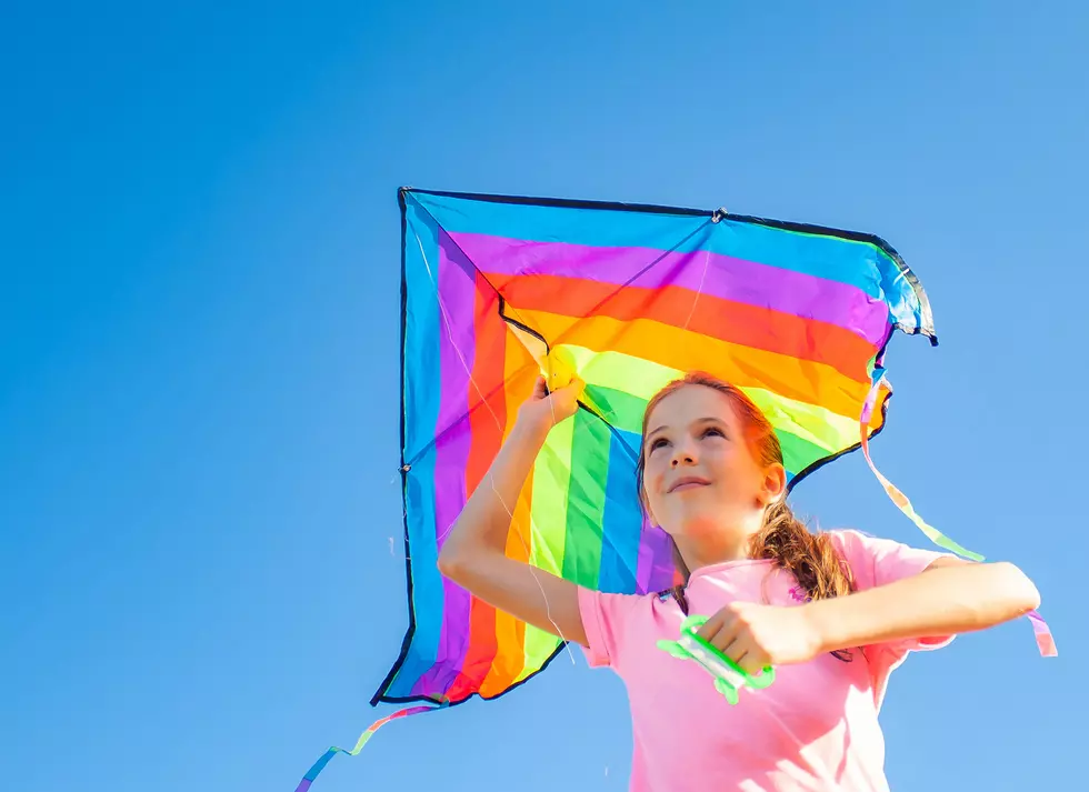 Late summer kite festival coming to Brick, NJ this September