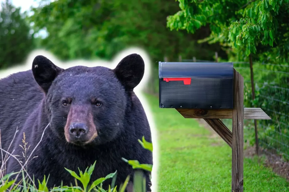 Why NJ residents should be cautious about getting their mail