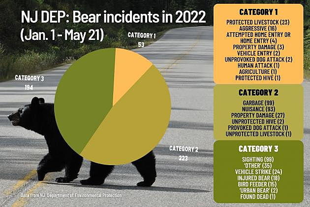 Bear incidents are up dramatically over last year across NJ