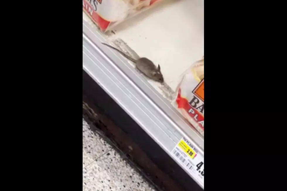 Video: Brazen mouse browses NJ supermarket bread aisle