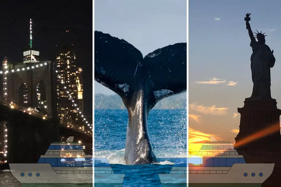 From sunsets, cocktails, and whales, New Jersey specialty cruises have it all