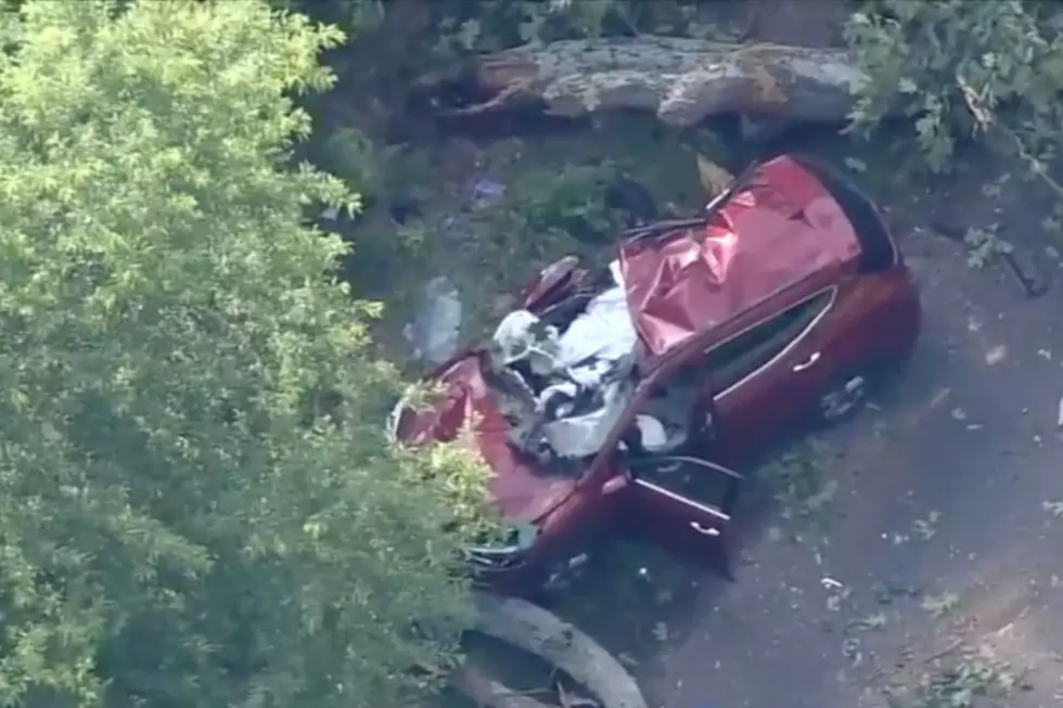Tree branch falls onto SUV, killing NJ woman and hurting husband