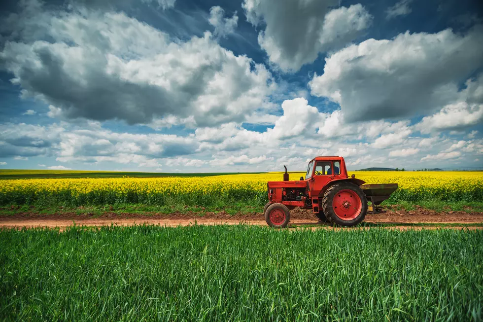 NJ farmers facing a triple whammy of problems, but you can help