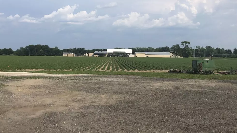A salute to New Jersey farmers who deserve our gratitude (Opinion)