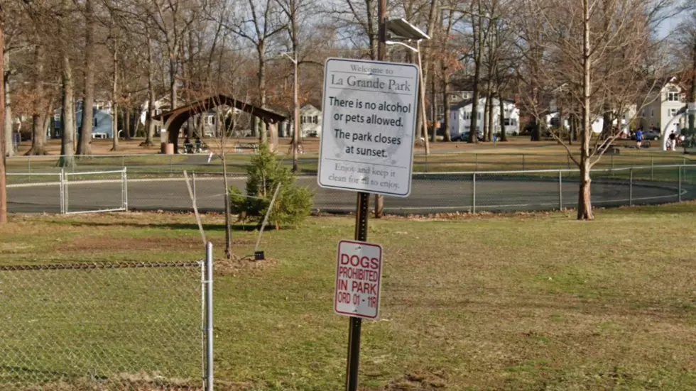 Residents relieved as NJ town may ease restrictions on dog parks 