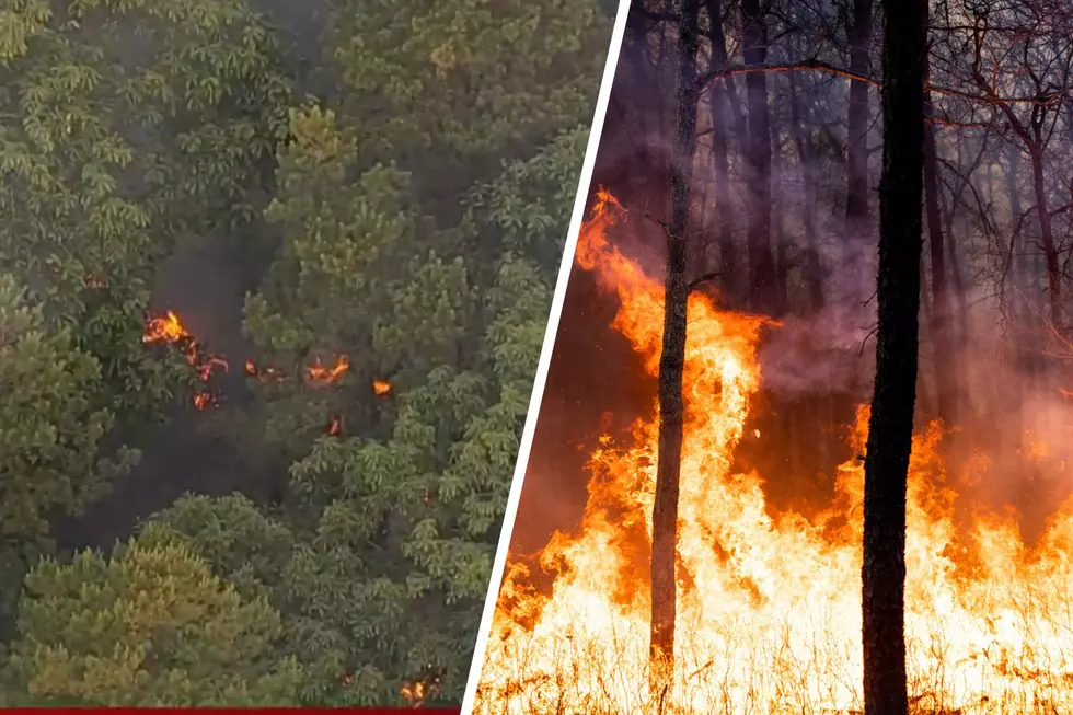 Wildfire ignites in another NJ forest, burning hundreds of acres