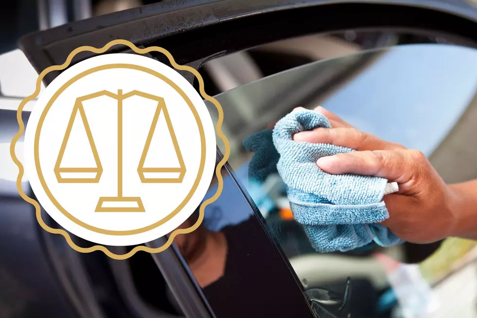 NJ Supreme Court rules against cops in tinted windows case (Opinion)