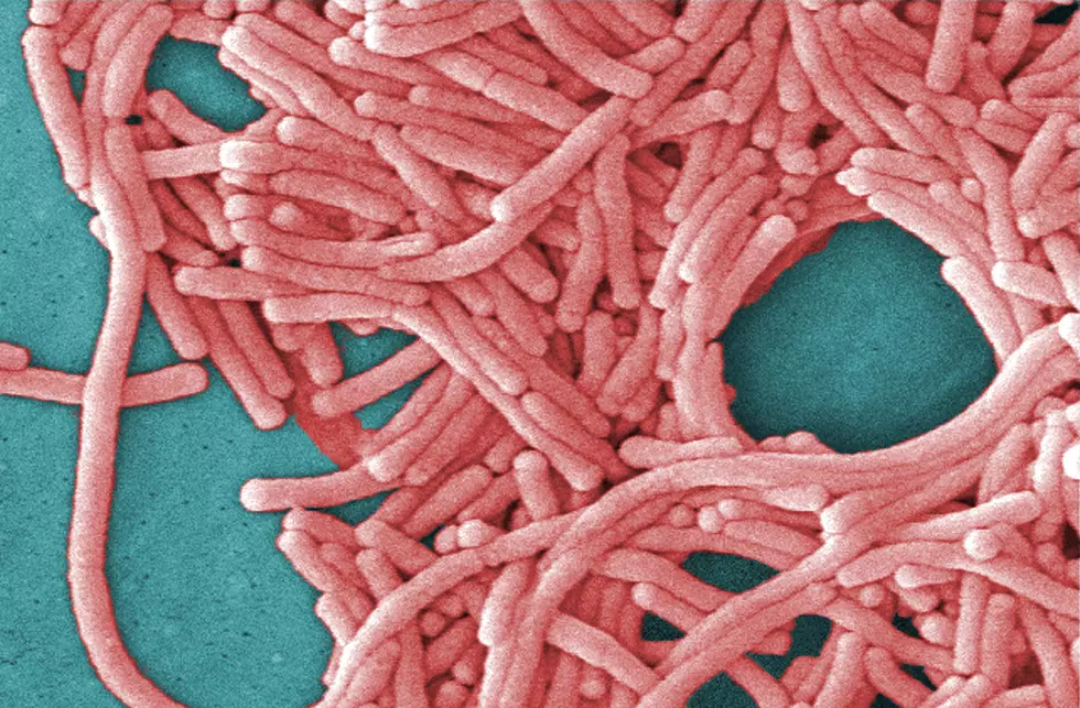 COVID could leave people more susceptible to other infections