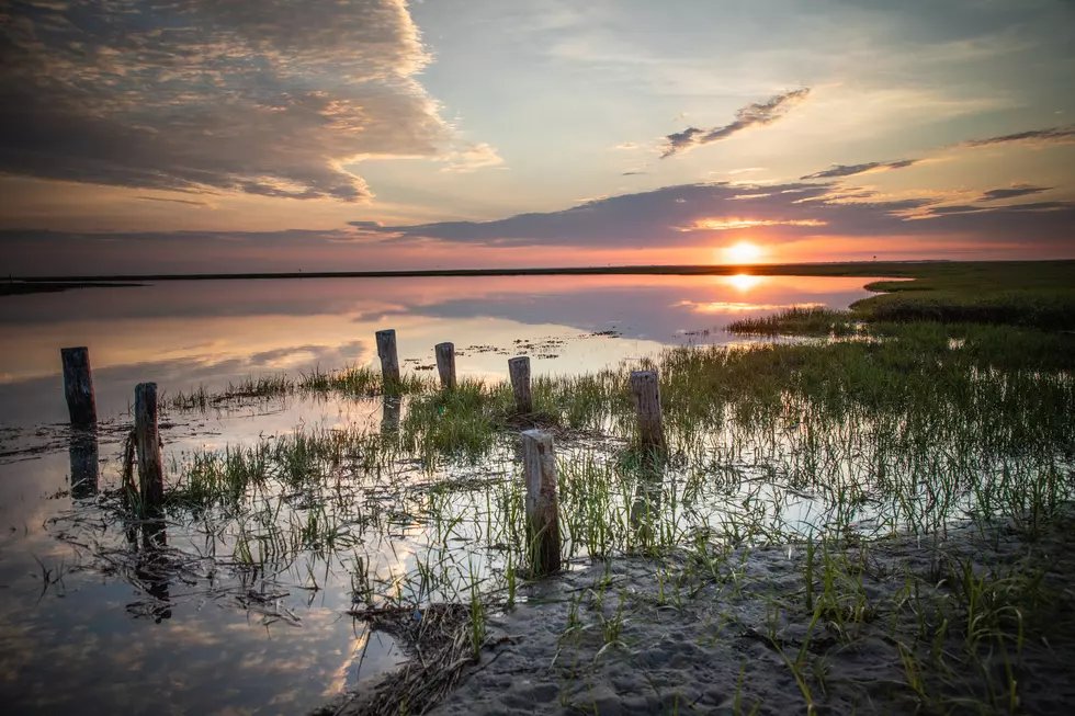 Why New Jersey Natural Gas Advocates for Wetland Climate Change Solutions