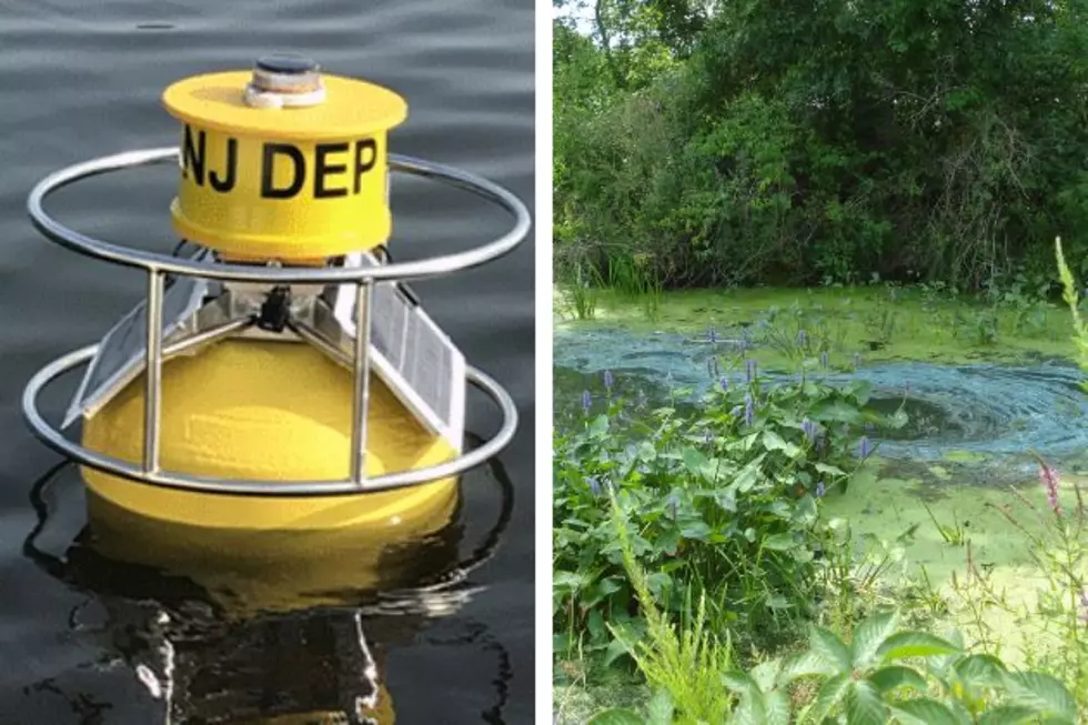 DEP buoys are being vandalized in NJ lakes, officials say