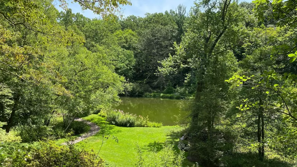 Stunning rock garden in Central Jersey