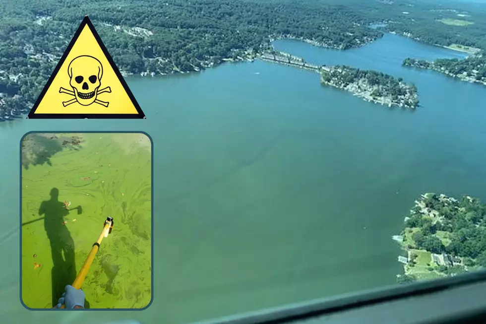 Toxic algae blooms return to New Jersey lakes