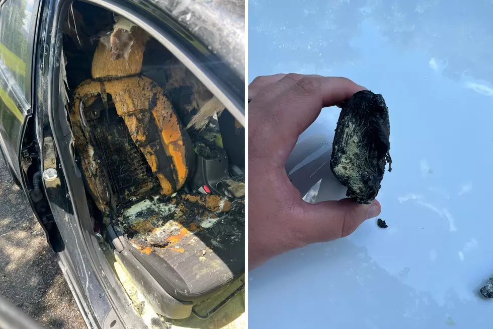 Lithium-ion battery blamed for Toms River, NJ car fire