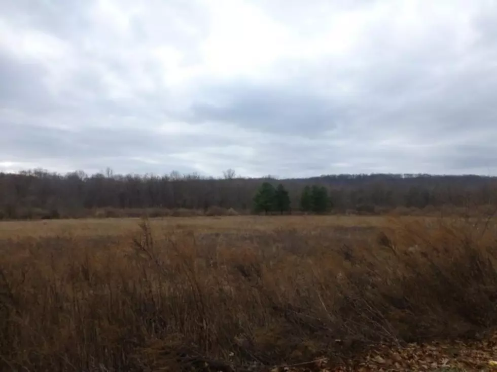 Curtis site