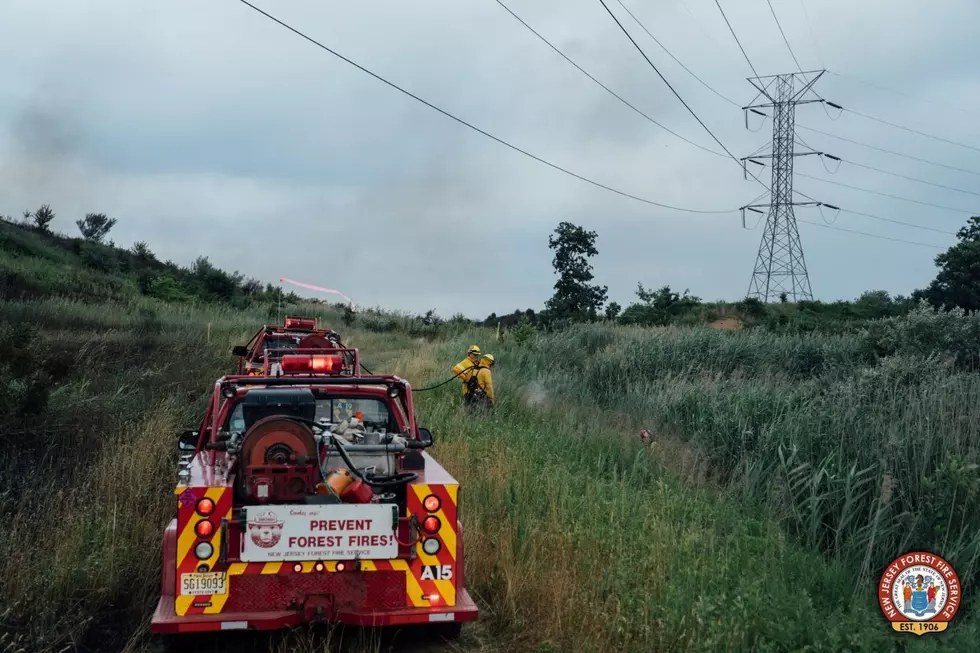 Wildfire off Meadow Road in Edison 7/5/22
