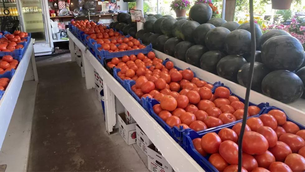 Get Fresh New Jersey Grown Tomatoes For Free In Seaside Heights