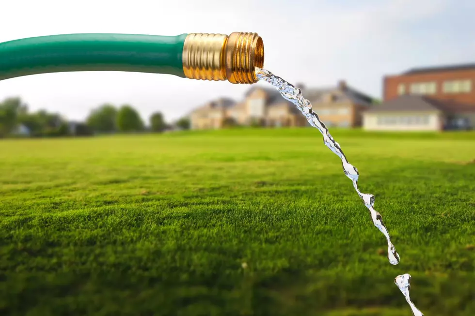 NJ water utility asks residents to cut back on watering their lawns