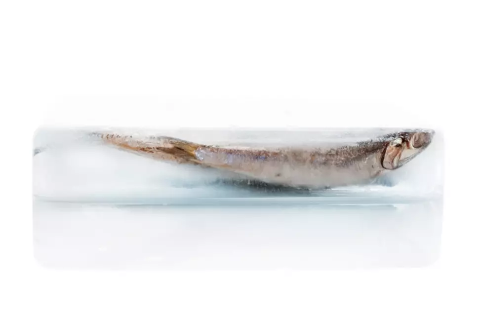 Fish frozen in ice block. Fresh fish.