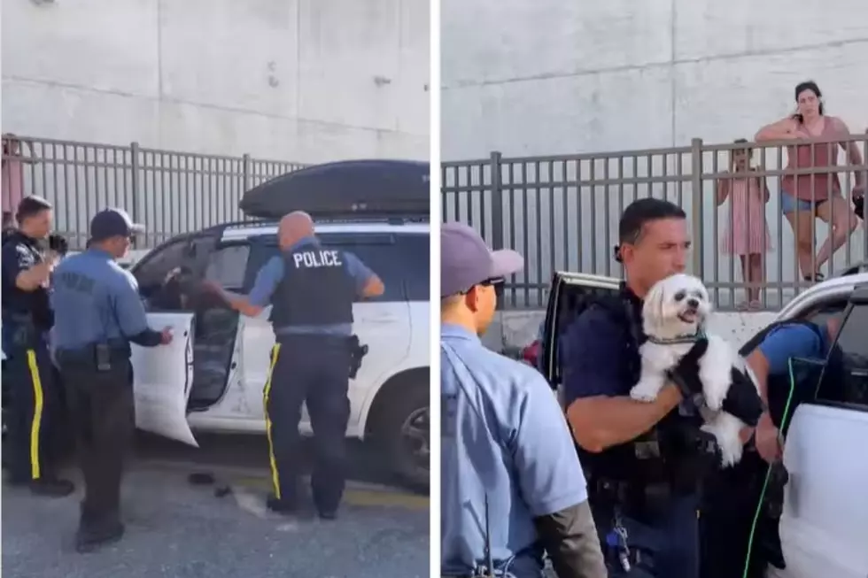 Seaside Heights, NJ police free dog locked in hot vehicle