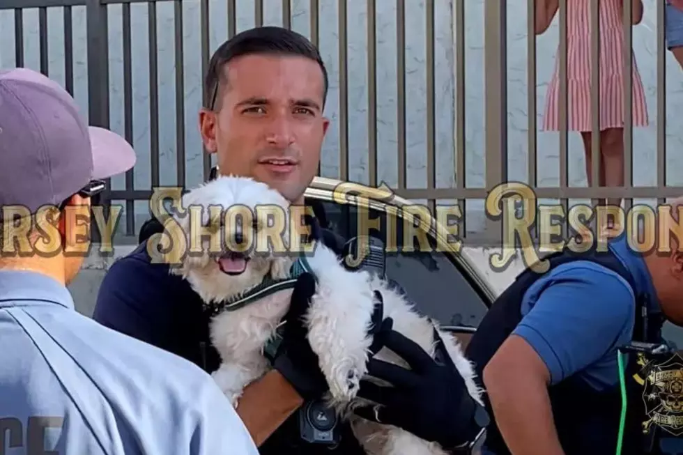 Dog rescued from a locked car in Seaside Heights 8/30/22