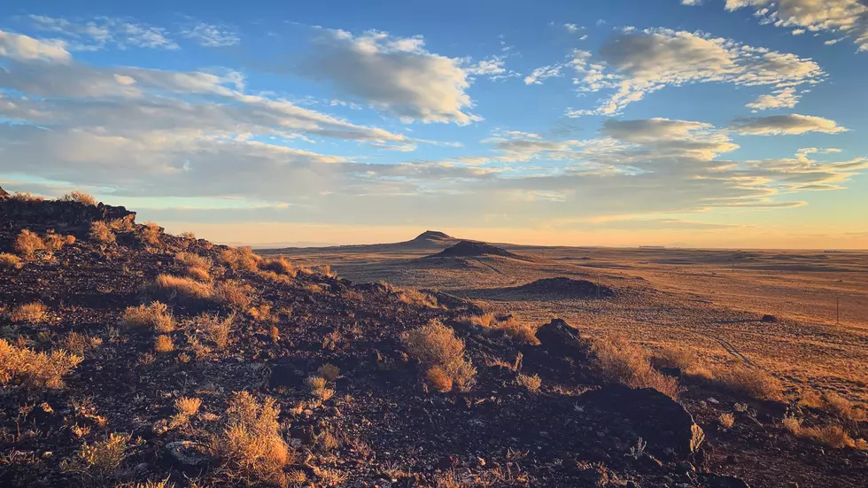 Ethan Wright-Magoon via Unsplash