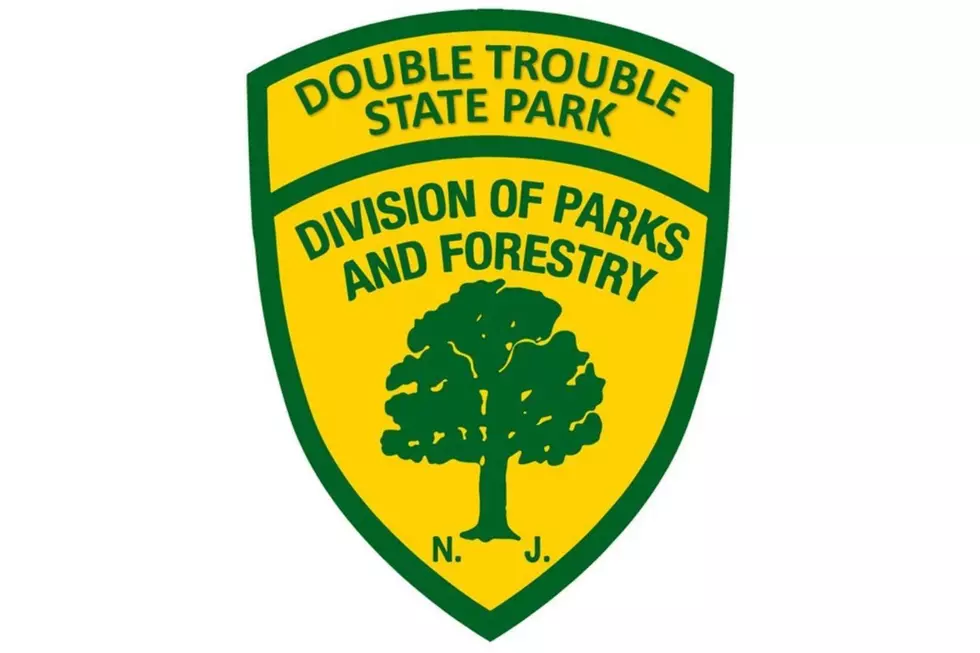 fox rabies Double Trouble State Park NJ