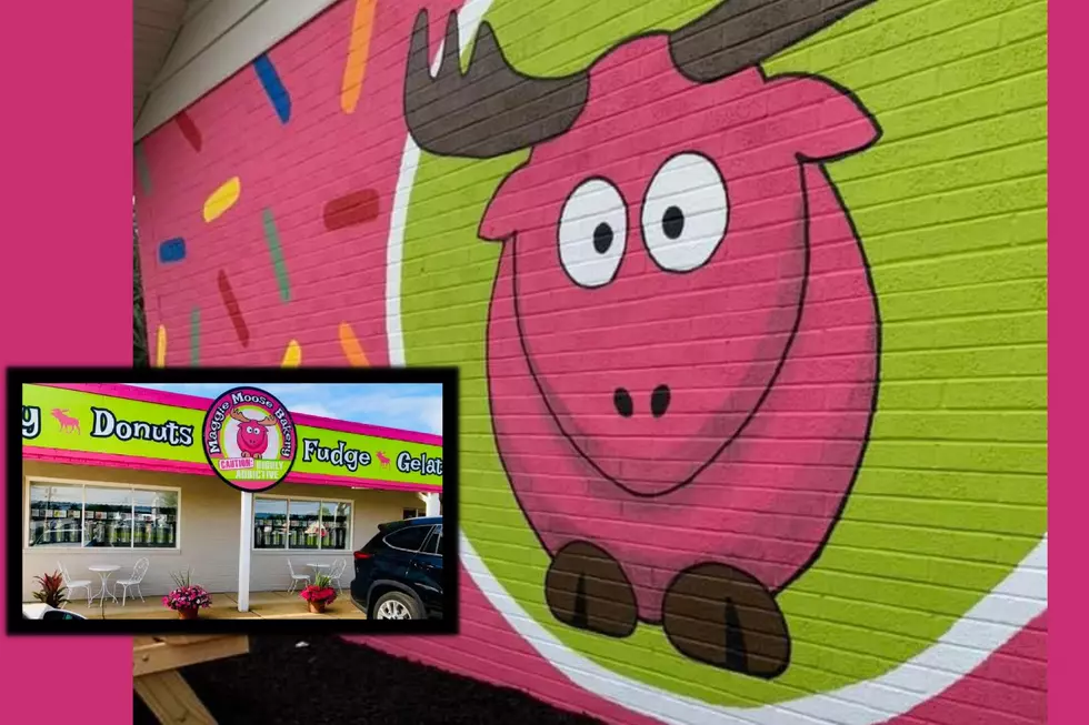 Bakery in Medford, NJ, Told to Cease and &#8216;De-moose&#8217; Their Mural