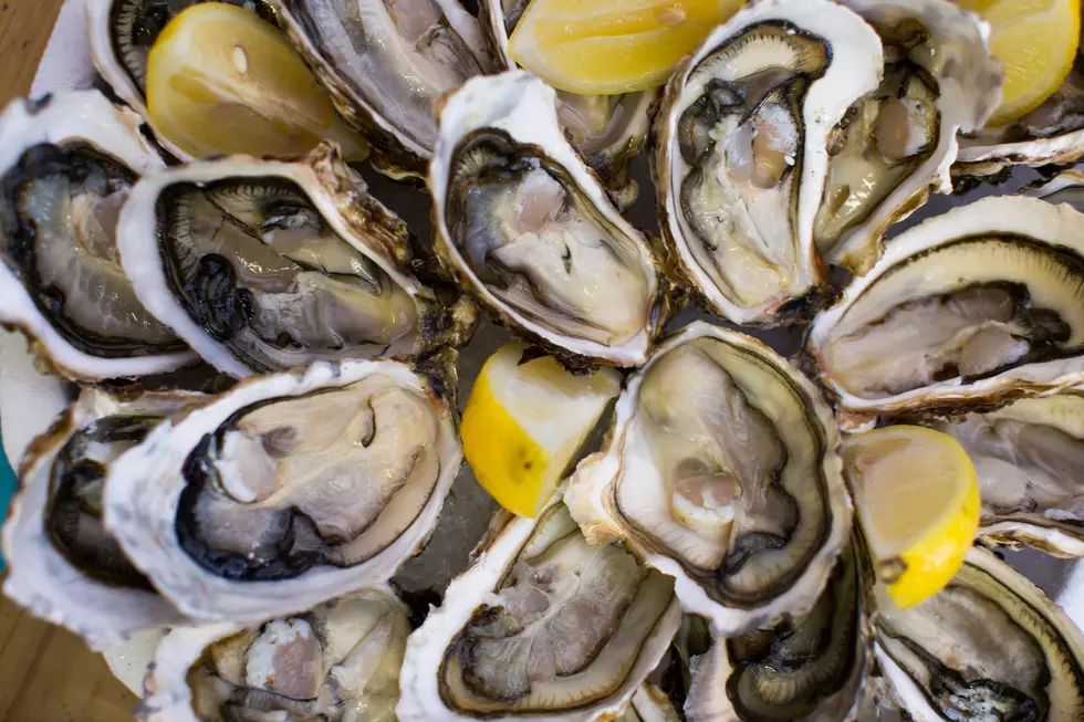NJ Oyster Festival comes to Bayshore Center at Bivalve in October