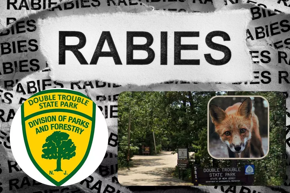 NJ State Park Reopens After Rabies Scare
