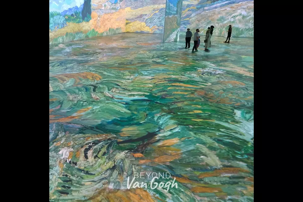 Immersive Van Gogh experience coming to American Dream