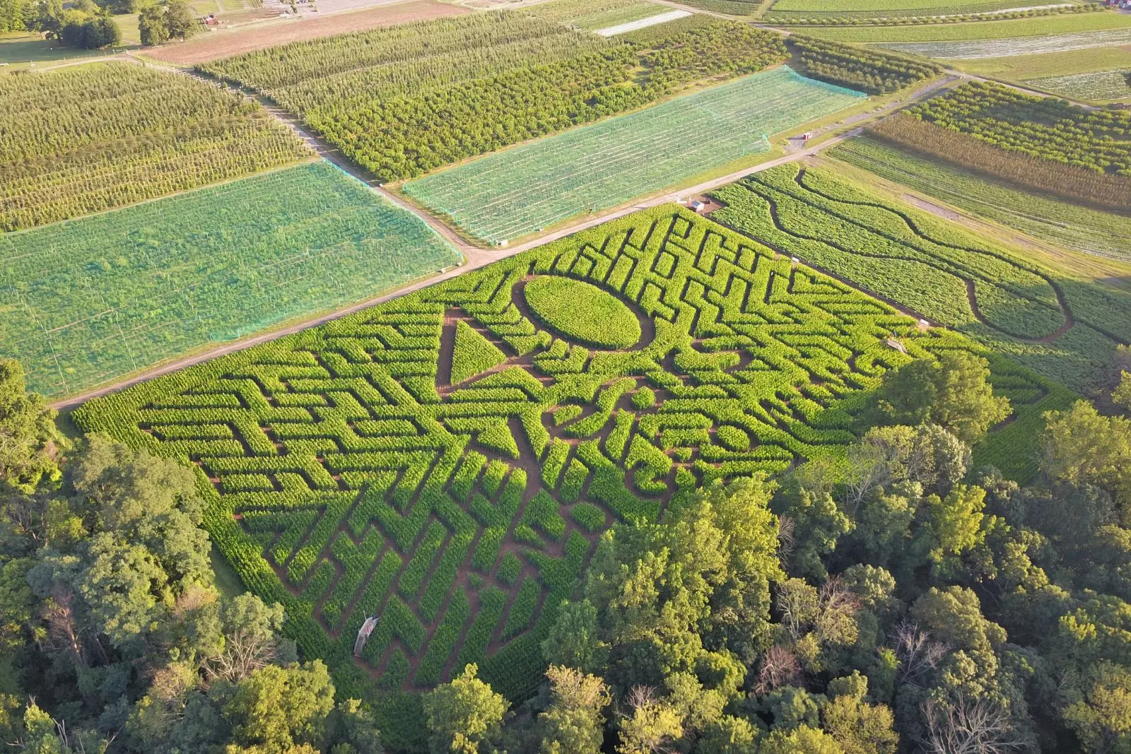 A unique romantic corn maze date? At this NJ farm, it's a yes
