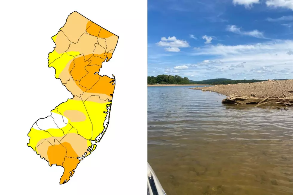 Nearly all of New Jersey is in a drought stage