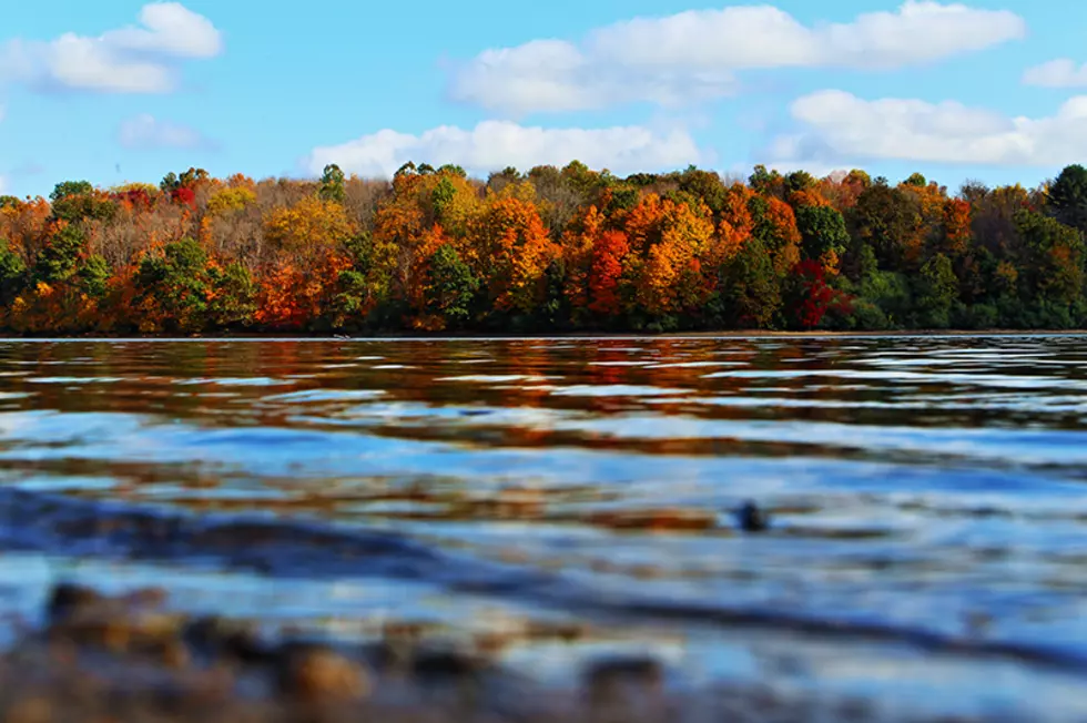 Things to do at NJ state parks: What makes each one special?