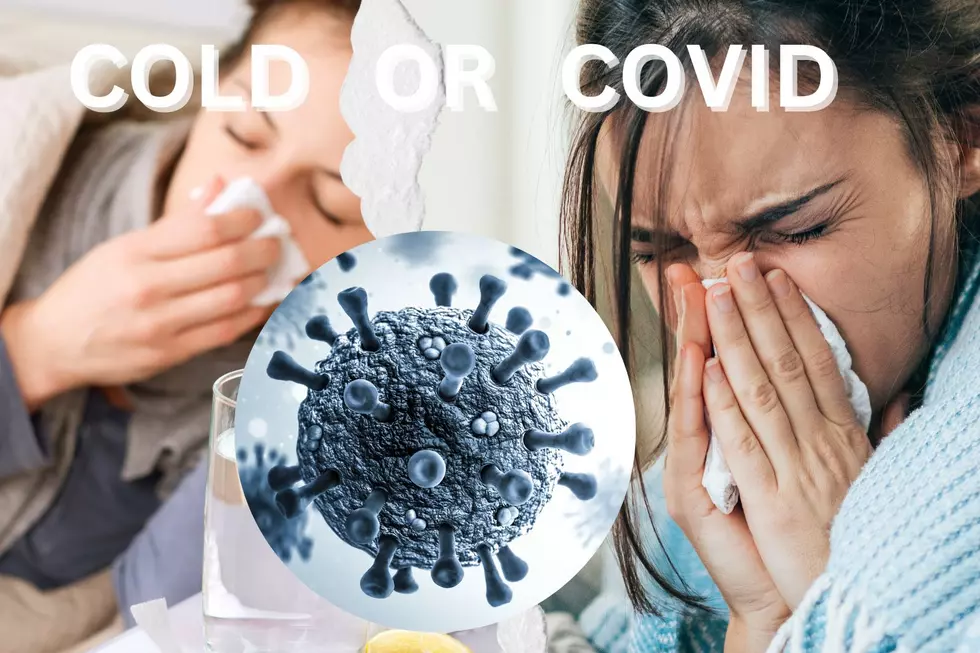 Cold or COVID &#8211; New Symptoms Mimic Common Cold