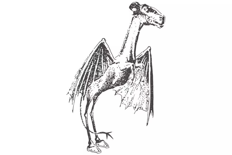 Philidelphia Bulletin, Jan. 1909