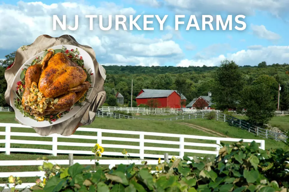 Fresh turkey tastes better - Where to get one in NJ