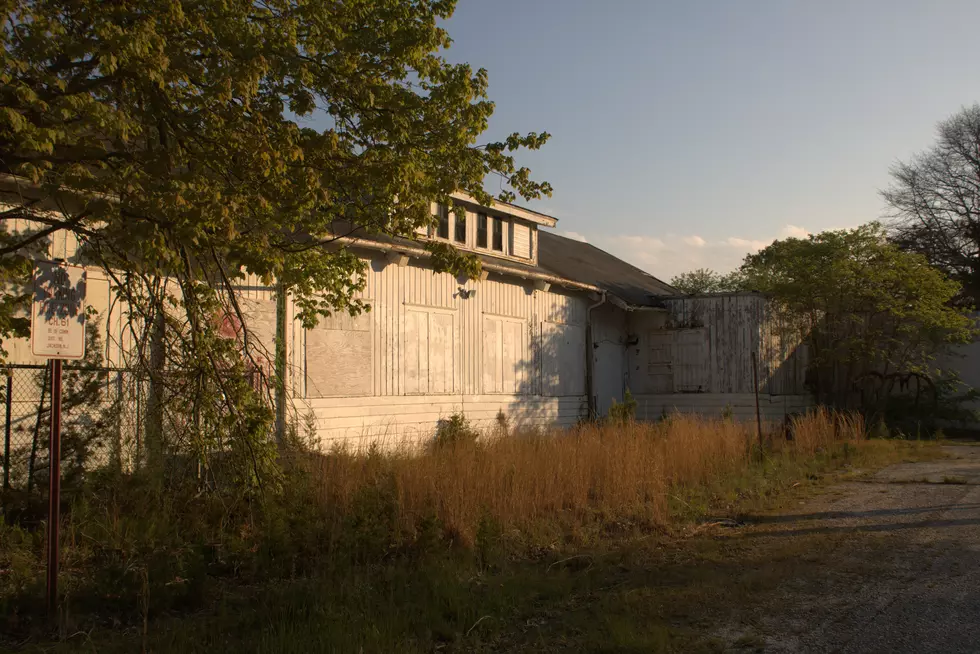 Rova Farms, overgrown and in disrepair. (Ethan Noble)